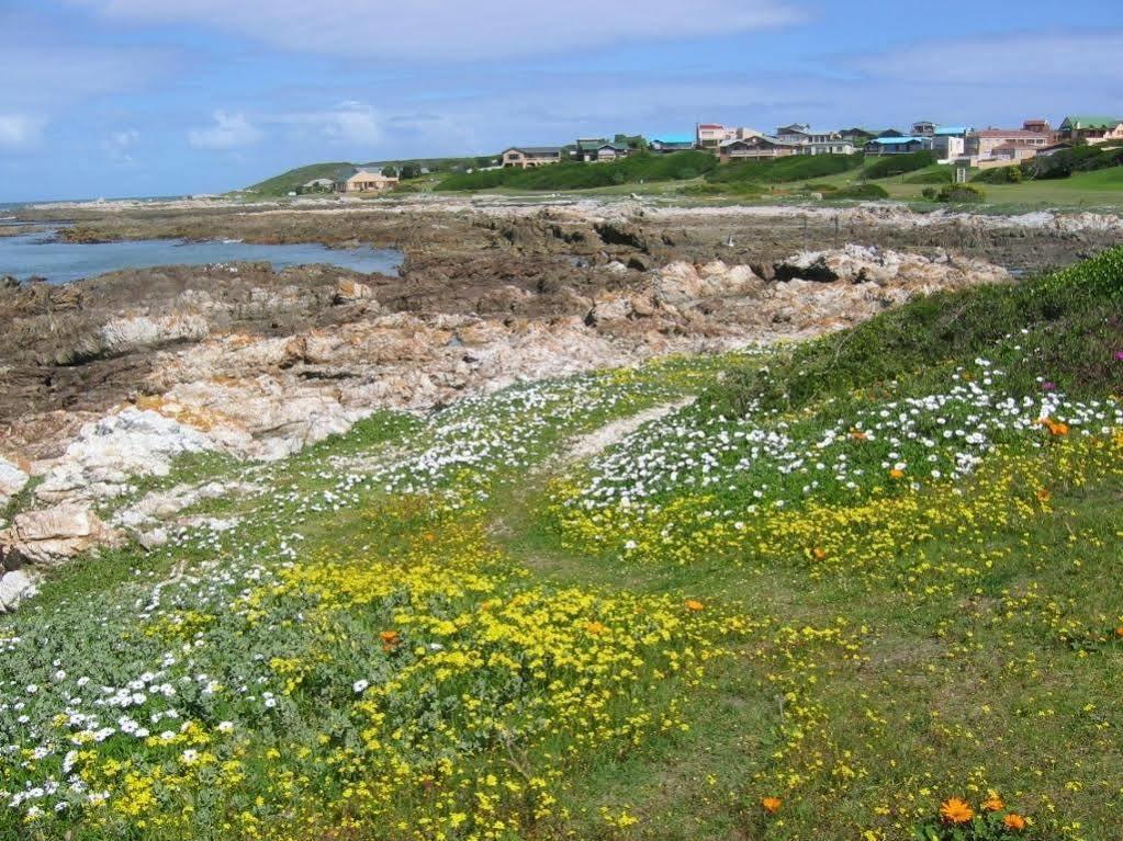 Aire Del Mar Guest House Kleinbaai Zewnętrze zdjęcie